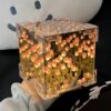Tulip_flower_lamp